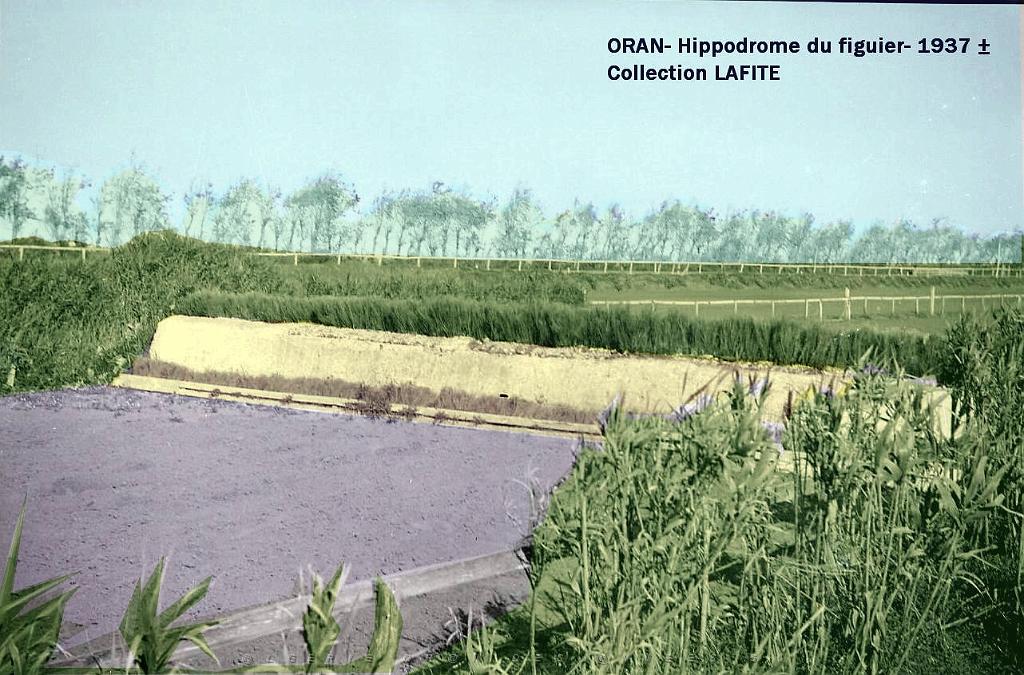 Oran- Le figuier 33a - Copie - Copie.jpg